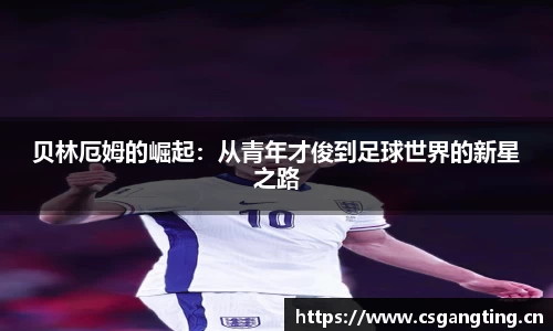 星空xk体育
