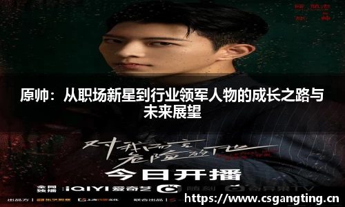 原帅：从职场新星到行业领军人物的成长之路与未来展望