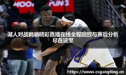 湖人对战鹈鹕精彩直播在线全程回放与赛后分析尽在这里