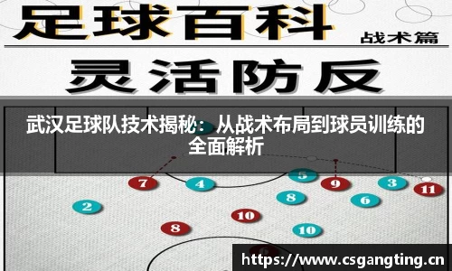 武汉足球队技术揭秘：从战术布局到球员训练的全面解析